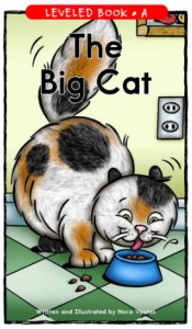 THE BIG CAT